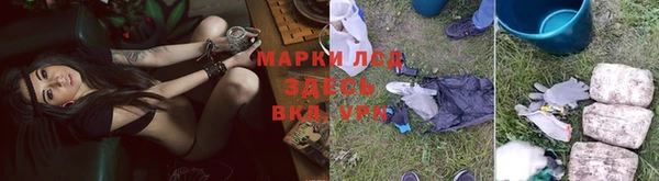 spice Лагань