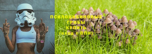 spice Лагань