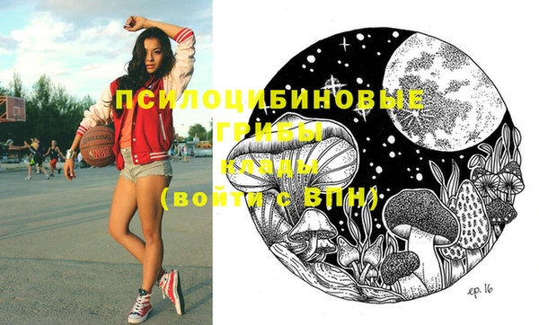 spice Лагань