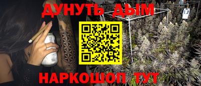 индика Будённовск