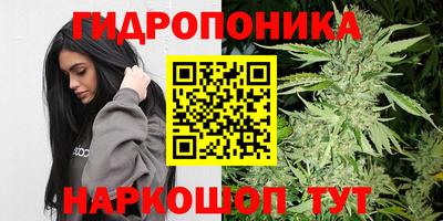 индика Будённовск