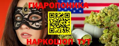 индика Будённовск