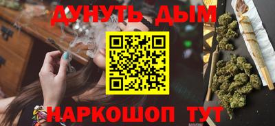 индика Будённовск