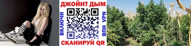 МАРИХУАНА THC 21%  Партизанск 