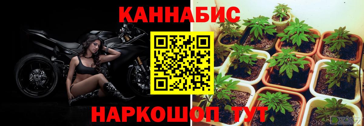 Марихуана Ganja Партизанск